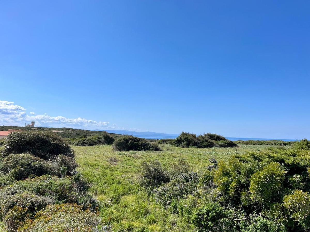 Domaine De Licetto Aparthotel Bonifacio  Εξωτερικό φωτογραφία